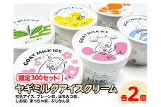 【限定300セット！】ヤギミルクアイスクリーム 6種類×各2個（全12個入）| おやつ スイーツ デザート
※離島への配送不可