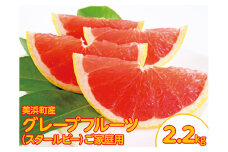 美浜町産グレープフルーツ（スタールビー）ご家庭用　6-8玉（約2.2kg）
※2025年5月上旬～7月上旬頃に順次発送予定
※着日指定不可