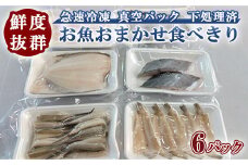 鮮度抜群！お魚おまかせ食べきり６パック・下処理加工してあるので解凍してすぐに調理できます。※着日指定不可　※北海道・沖縄・離島への配送不可 セット 海鮮 鮮魚 魚 下処理済 新鮮 海鮮盛り合わせ 詰め合わせ 人気 おすすめ 愛知県 美浜町