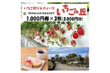 まるは食堂 マルハリゾート いちごの丘1,000円券3枚（3,000円分） ※着日指定不可