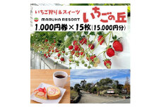 まるは食堂 マルハリゾート いちごの丘1,000円券15枚（15,000円分） ※着日指定不可