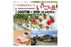 まるは食堂 マルハリゾート いちごの丘1,000円券30枚（30,000円分） ※着日指定不可