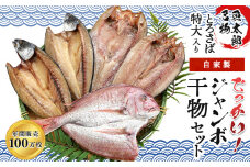 名物とろさばの特大入り！でっかい！ジャンボ自家製干物セット※北海道・沖縄・離島への配送不可