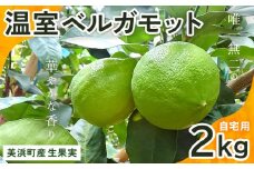 美浜町産温室ベルガモット　生果実『自宅用2kg入り』※2024年11月上旬〜2025年2月下旬頃に順次発送