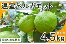 美浜町産温室ベルガモット　生果実『自宅用4.5kg入り』※2024年11月上旬〜2025年2月下旬頃に順次発送