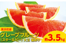 美浜町産グレープフルーツ（スタールビー）大玉 傷あり 約3.5kg ※2025年4月下旬～8月上旬頃に順次発送予定