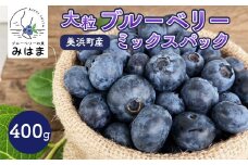 【数量＆期間限定】国産大粒ブルーベリー 100g×4パック入り ※2025年6月中旬～8月中旬に順次発送予定 ※北海道・沖縄・離島への配送不可