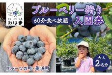 【食べ放題！】ブルーベリ狩り入園券 大人2名分