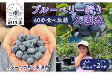 【食べ放題！】ブルーベリ狩り入園券 大人2名分+子供2名分