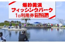爆釣 美浜フィッシングパーク 利用券 1日券 女性・子ども（小学生以下）用 体験 チケット ｜ 海釣り 釣り堀 釣堀 旅行 アクティビティ アウトドア スポーツ ギフト券 券 体験チケット 釣り竿 釣竿 竿 釣り餌 レンタル 釣 愛知県 美浜町 知多半島