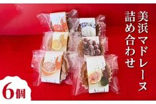 美浜マドレーヌ詰め合わせ　6個 ｜ マドレーヌ おためし お試し 焼き菓子 洋菓子 おやつ お菓子 おかし スイーツ おすすめ 人気 詰め合わせ セット 贈り物 プレゼント ギフト 愛知県 美浜町