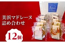 美浜マドレーヌ詰め合わせ　12個 （6種×2個） ｜ マドレーヌ 焼き菓子 洋菓子 おやつ お菓子 おかし スイーツ おすすめ 人気 詰め合わせ セット 贈り物 プレゼント ギフト 愛知県 美浜町