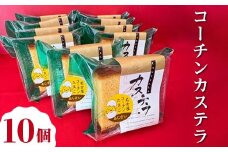 コーチンカステラ 10個 ｜ 個包装 カステラ 名古屋コーチン おためし お試し 焼き菓子 洋菓子 おやつ お菓子 おかし スイーツ おすすめ 人気 詰め合わせ セット 贈り物 プレゼント ギフト 愛知県 美浜町
