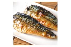 訳あり 塩さばフィレ 4枚×4袋(約2kg)冷凍便にてお届け!おかずにぴったり!(武豊町)【1599570】
