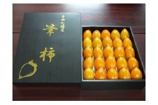 幸田町特産「筆柿」3kg 化粧箱入り ※9月下旬頃～10月中旬頃に順次発送予定※ 柿 かき フルーツ 果物 ギフト