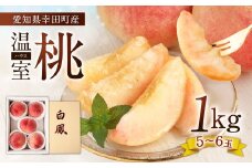《数量限定》幸田町産「温室（ハウス）桃」1kg 化粧箱入り ※着日時指定不可※北海道・沖縄・離島への発送不可※ 6月上旬頃～6月下旬頃に順次発送予定 桃 もも 果物 フルーツ お取り寄せ