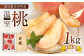 《数量限定》幸田町産　「温室（ハウス）桃」1kg 化粧箱入り
