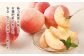 《数量限定》幸田町産　「温室（ハウス）桃」1kg 化粧箱入り