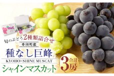 幸田町産「ハウス栽培旬のぶどう」2種類詰合せ（種なし巨峰×2、シャインマスカット×1）3房 ※7月中旬～8月上旬に発送予定 ※着日時指定不可 ※北海道・沖縄・離島への発送不可※ ぶどう