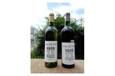 幸田町産 ぶどう使用 Sakazaki ワイン 2種詰め合わせ 各720ml