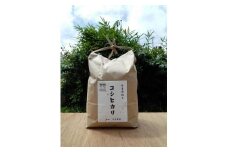 幸田町産コシヒカリ5kg 「栄養週期栽培米」 農薬は除草剤1回使用
