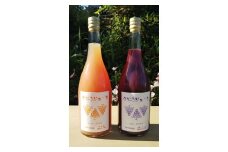 【New】幸田町産 ぶどう使用 100％ジュース 2種 詰め合わせ 無添加 無糖 無加水 ぶどうジュース