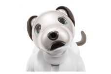 aibo 自律型エンターテインメント ロボット (カラー：アイボリーホワイト) 【令和2年度　全国発明表彰「内閣総理大臣賞」受賞】アイボ
