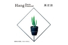GRAVIRoN Hang Plants シリーズ Diamond 黒皮鉄（プランツハンガー） 観葉植物 プランター