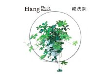 GRAVIRoN Hang Plants シリーズ Round 酸洗鉄（プランツハンガー） 観葉植物 プランター