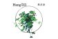 GRAVIRoN Hang Plants シリーズ Round 黒皮鉄（プランツハンガー）