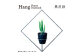 GRAVIRoN Hang Plants シリーズ Triangle/Diamond/Round セット 黒皮鉄