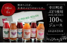 【New】幸田町産 ぶどう使用(無添加、無糖、無加水)100％ ジュース 多種類 6本詰め合わせ ぶどうジュース