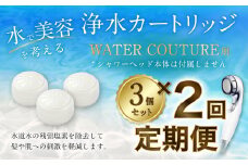 【定期便】シャワーヘッド用 浄水 カートリッジ ( 3個セット × 2回発送 定期便 ) ウォータークチュール用 塩素除去 節水 交換簡単 カートリッジ