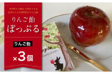【2025年9月より順次発送予定】幸田町から贈る 行列のできる信州りんごの専門店のりんご飴『ぽっぷる』( 3個 ) りんご飴
