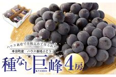 幸田町産 ハウス栽培ぶどう「種なし巨峰」4房 ぶどう ブドウ マスカット グレープ【着日時指定不可】【北海道・沖縄県・離島への配送不可】果物 フルーツ お取り寄せ