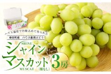 幸田町産 ハウス栽培ぶどう「シャインマスカット（種なし）」3房 ぶどう ブドウ マスカット グレープ【着日時指定不可】【北海道・沖縄県・離島への配送不可】 果物 フルーツ お取り寄せ