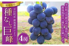 幸田町産 露地栽培 ぶどう「種なし巨峰」4房 ブドウ マスカット グレープ【着日時指定不可】【北海道・沖縄県・離島への配送不可】 果物 フルーツ