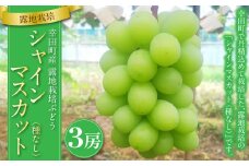 幸田町産 露地栽培 ぶどう「シャインマスカット（種なし）」3房 ブドウ マスカット グレープ【着日時指定不可】【北海道・沖縄県・離島への配送不可】 果物 フルーツ