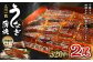 三河一色うなぎ蒲焼 2尾(肝焼き付き) うなぎ 蒲焼
