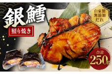 銀たら 照り焼き 250g 銀ダラ 銀鱈 てりやき 湯煎 惣菜 簡単調理 冷凍