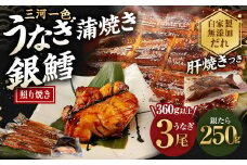 三河一色産 うなぎ蒲焼き 中3尾 + 銀たら 照り焼き 250g 鰻 かば焼き 銀鱈 タラ タレ付き 簡単調理 冷凍