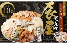 みんな大好き!! 辰屋 えびせんべい・いかせんべい 10袋セット 計696g 全10種 詰め合わせ