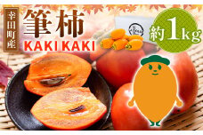 幸田町産 筆柿「KAKI KAKI」 1kg 【9月～11月末発送予定】 柿 かき フルーツ 果物 旬 特産品