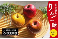 【2025年9月より順次発送予定】【定期便3回】旬を味わうりんご飴 味比べセット 青果りんご 1個 ･ りんご飴 2個 ( 計3個 ) お菓子 デザート