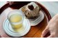 十年急須 ささら 湯呑 茶皿 セット