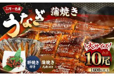 三河一色産 うなぎ蒲焼き 大10尾 タレ付き セット 簡単調理 冷凍