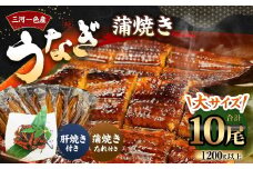 三河一色産 うなぎ蒲焼き 中10尾 タレ付き セット 簡単調理 冷凍