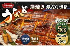 三河一色産 うなぎ蒲焼き 大5尾 + 銀たら 照り焼き 5切れ 蒲焼きたれ セット 簡単調理 冷凍