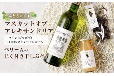 ぶどうの王様 マスカットオブアレキサンドリア ワイン ジツビブ 1本 100％ ストレートジュース 1本 ベリーAのじく付き 干しぶどう 1袋 種有り セット 詰め合わせ