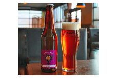 コノユビトマレ クラフトビール D-IPA 330ml×3本セット 合計990ml ダブルアイピーエー 醸造所 瓶 発泡酒 